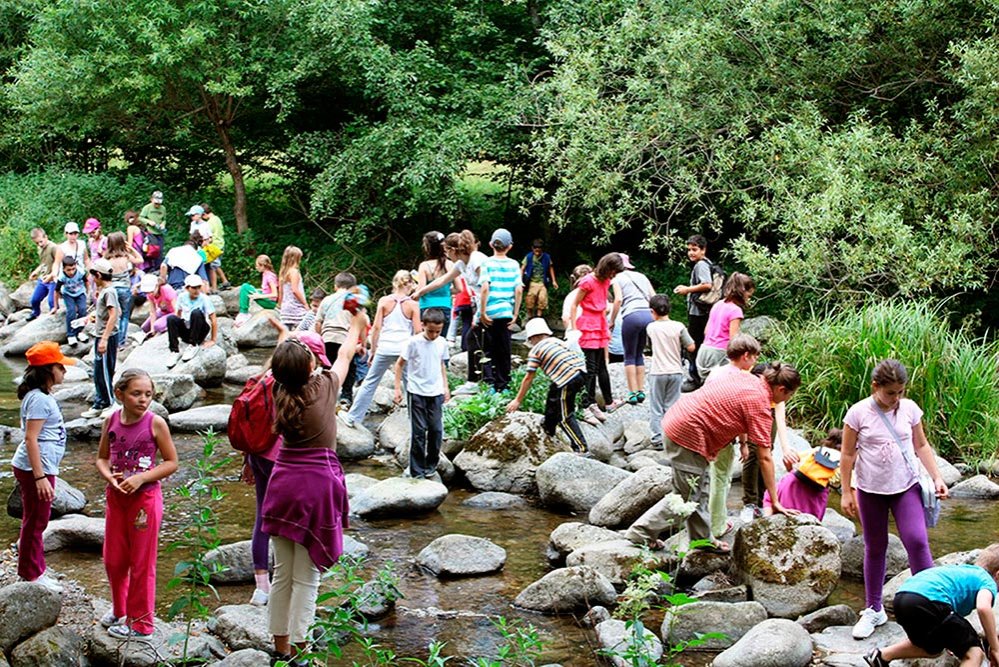 Tabere la Colibiţa 79226