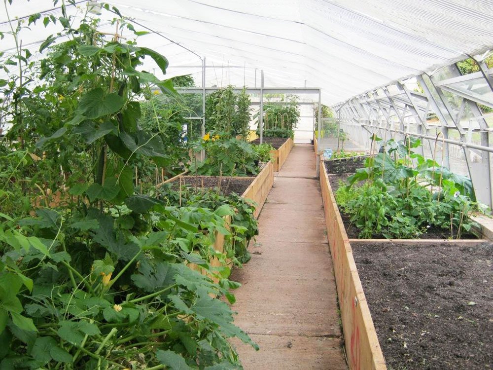 150 de milioane de euro pentru ferme vegetale şi zootehnice 79172