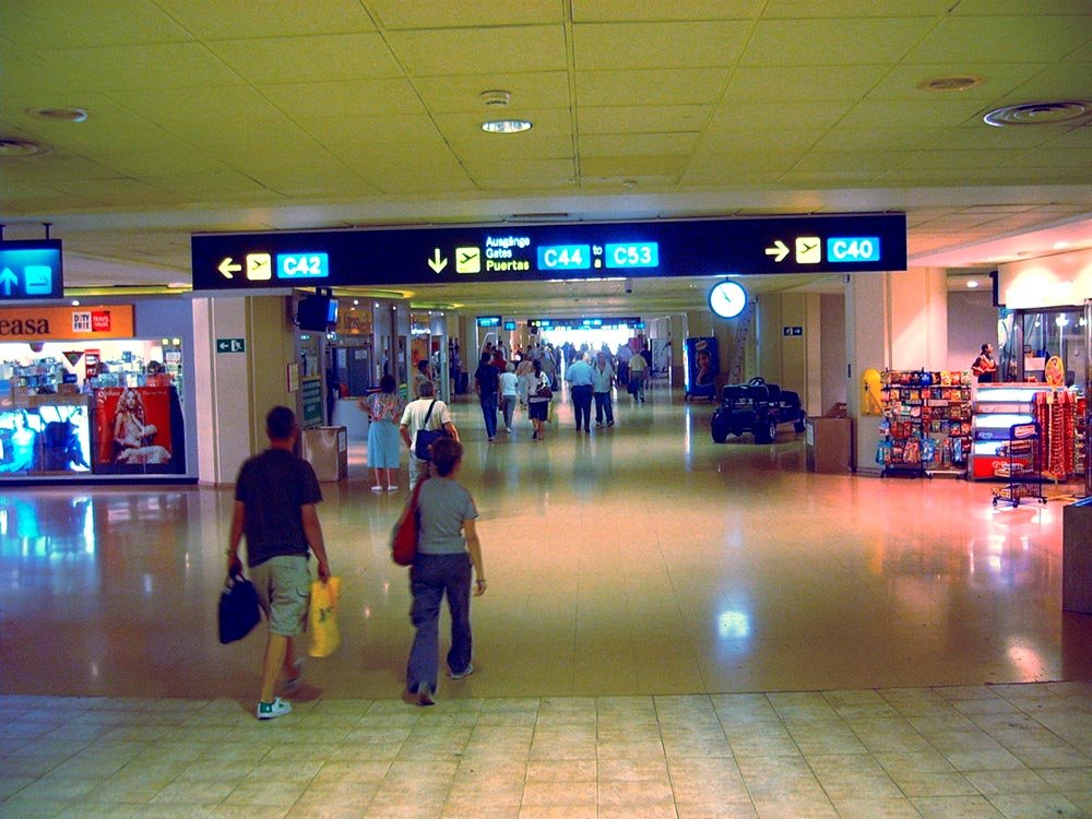 Alerte de călătorie direct pe telefonul mobil 79153