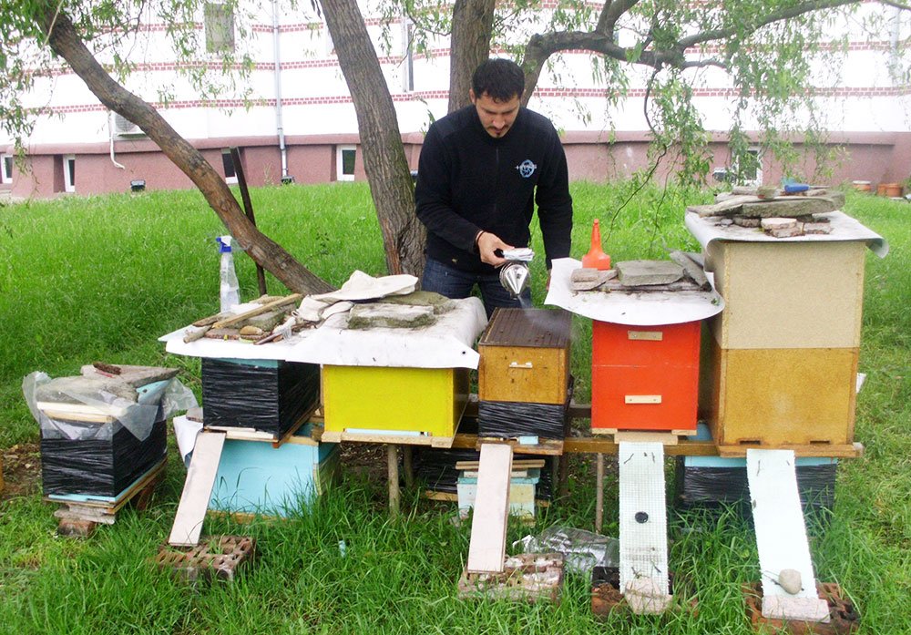 O experienţă inedită pentru 25 de elevi 79141