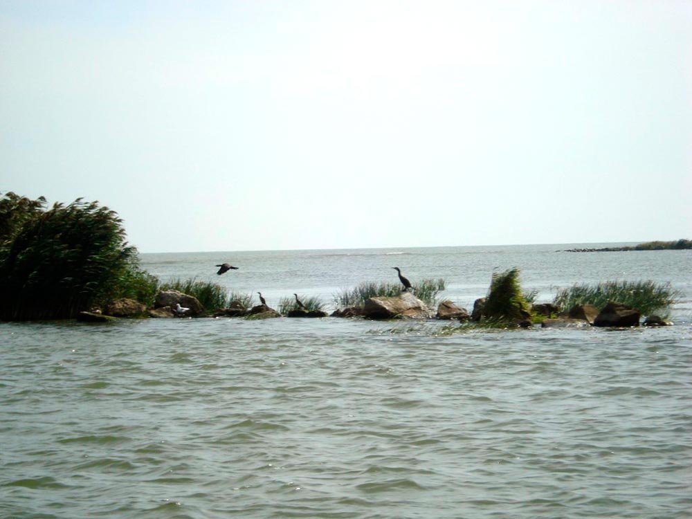 Autorităţile române sunt în alertă 79131