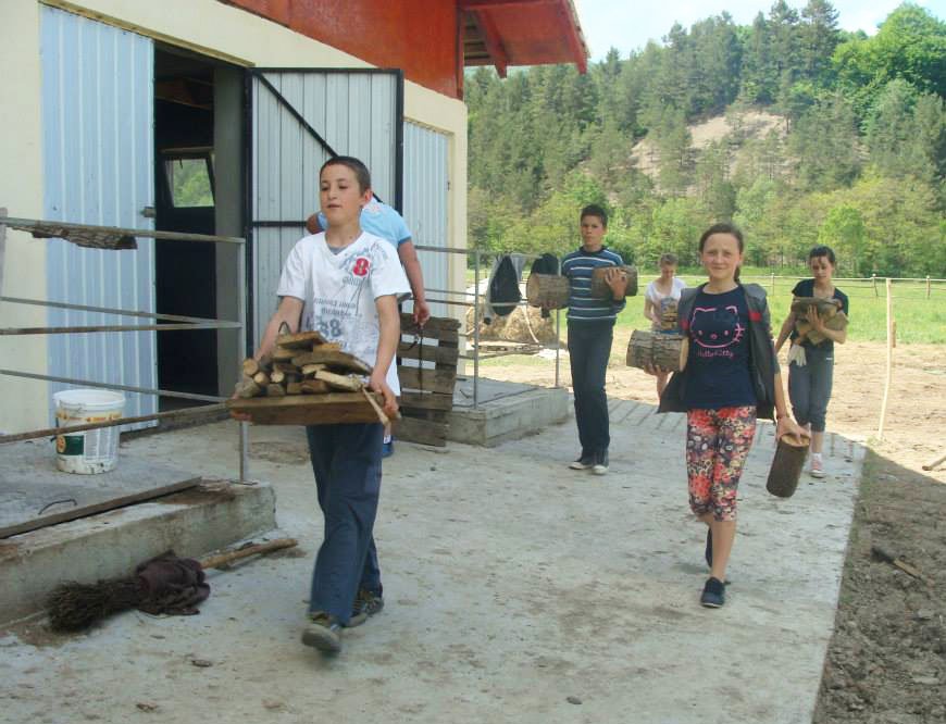 Voluntariat timp de o săptămână la Hârja 79013