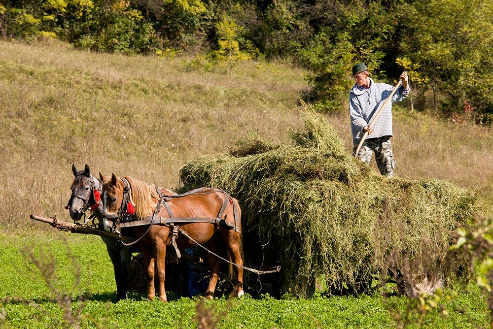 Proiect românesc de conservare a naturii, premiat în Europa 79010