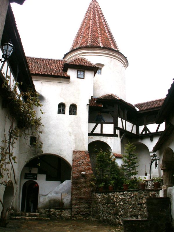 Vizite gratuite pentru copii, la Bran 78901