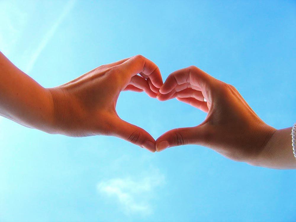 Liu şi soacra cea rea 78750