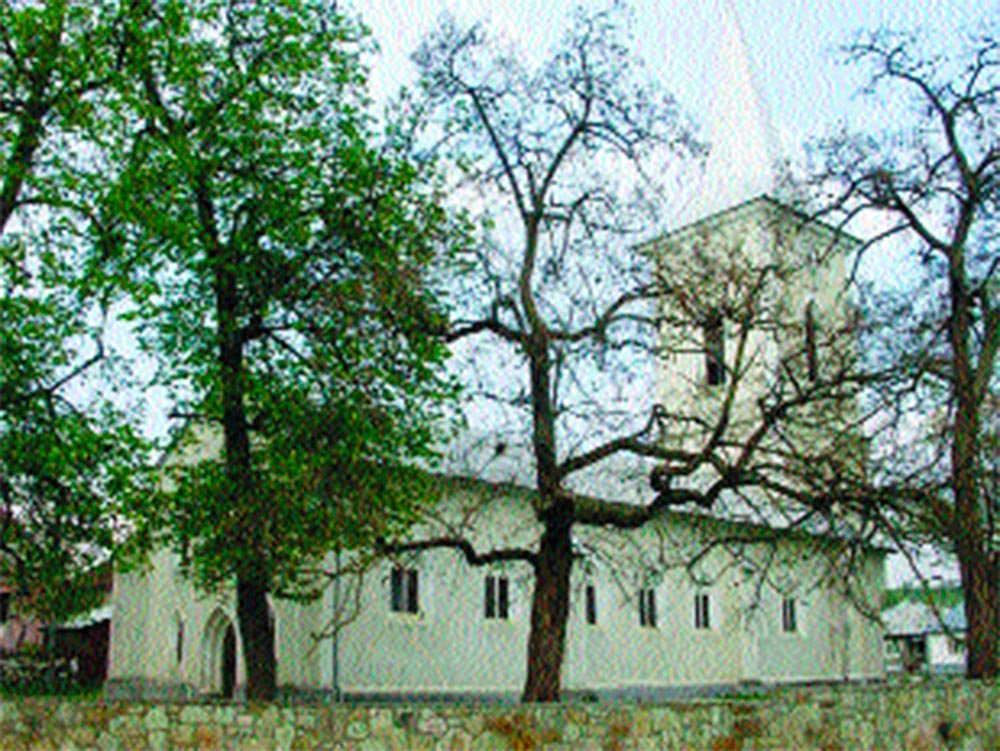 Cerc pastoral la Cepari, Năsăud 78473