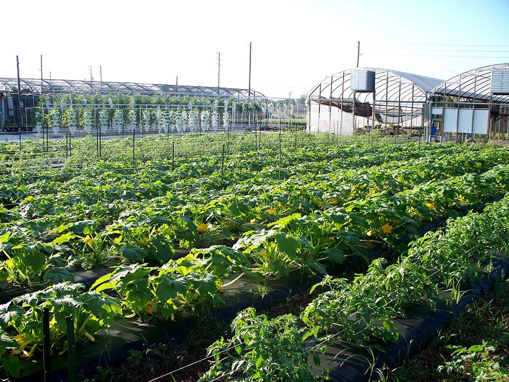 Microcredite destinate susţinerii fermelor de familie 78432