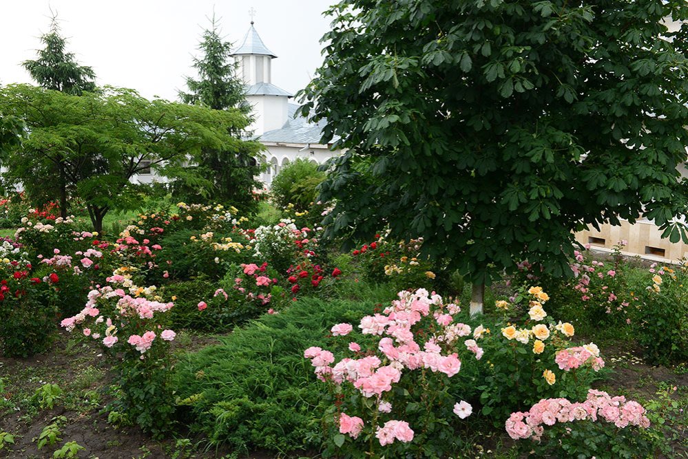 Cudalbi, mănăstirea care luminează 78182