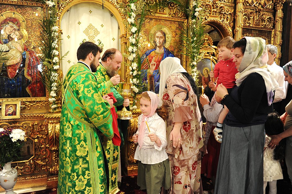 Cum şi când ne apropiem de Euharistie? 77766