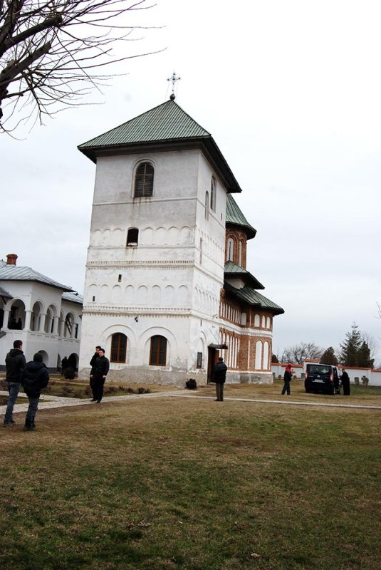 Tratarea maladiilor psihice în Ţările Române 77732