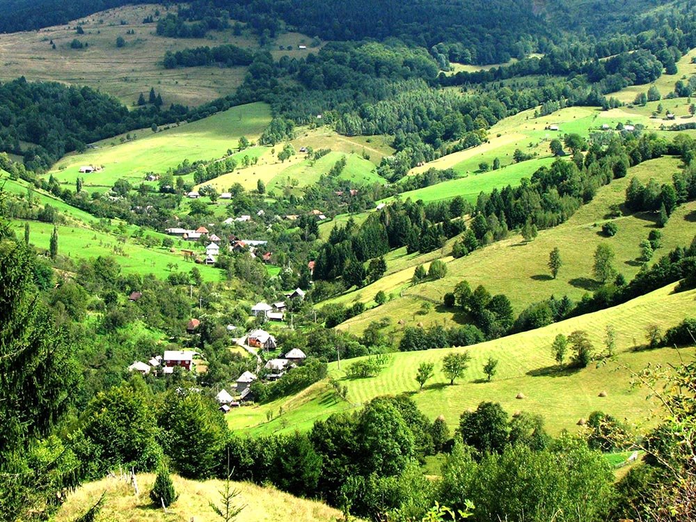 Universitate de Vară la Bucium 77731