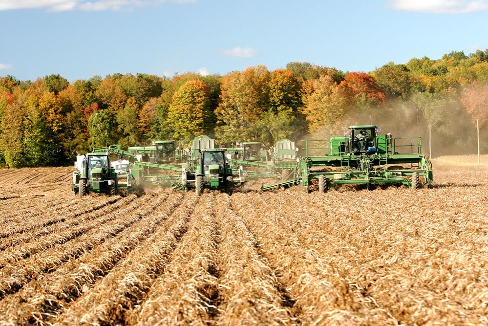 Fermierii inactivi nu vor mai primi plăţile pe suprafaţă 77724