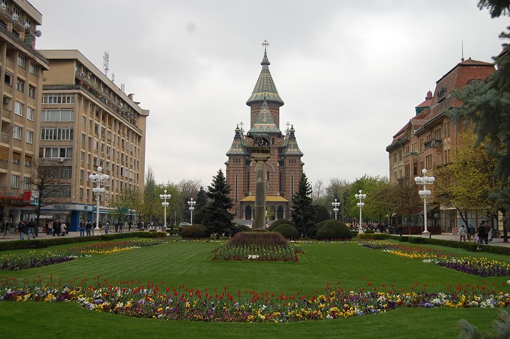 Promovare prin frumos a oraşului de pe Bega 77629