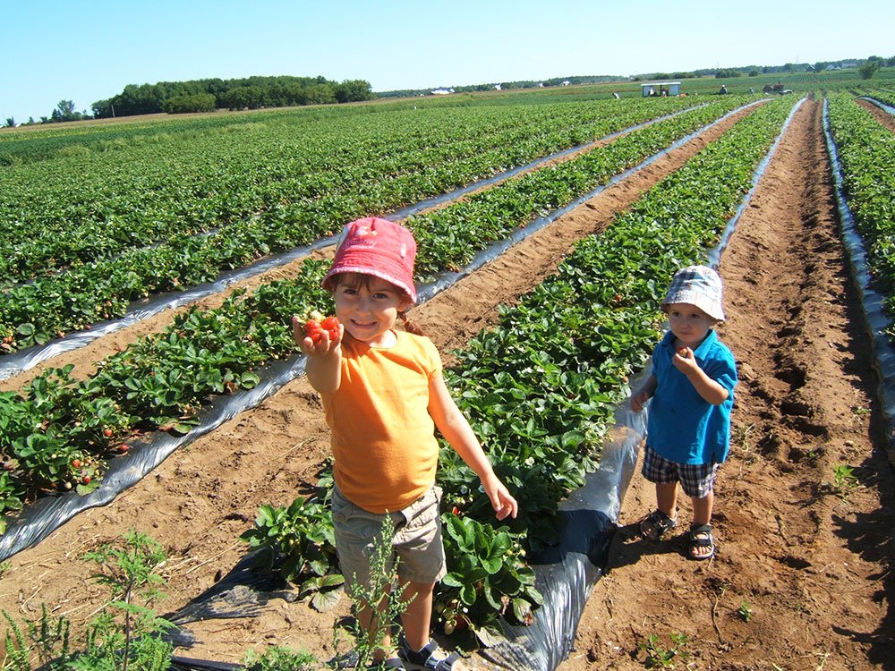 Pentru a accesa fondurile europene, e nevoie de cofinanţare 77588