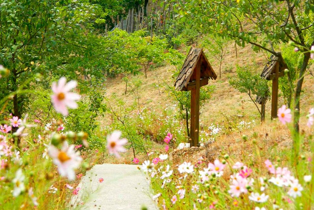 Bucuraţi-vă, rugaţi-vă, mulţumiţi! 77528