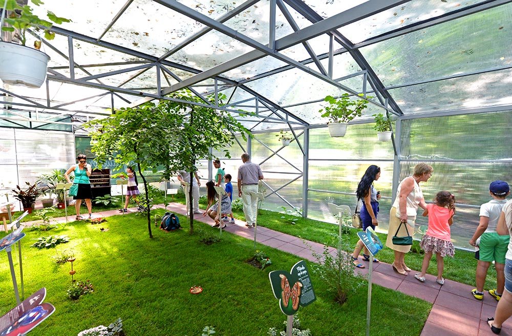 Călătorie în lumea fluturilor tropicali 77364