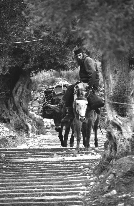 Smerenia poruncii lui Hristos 76173