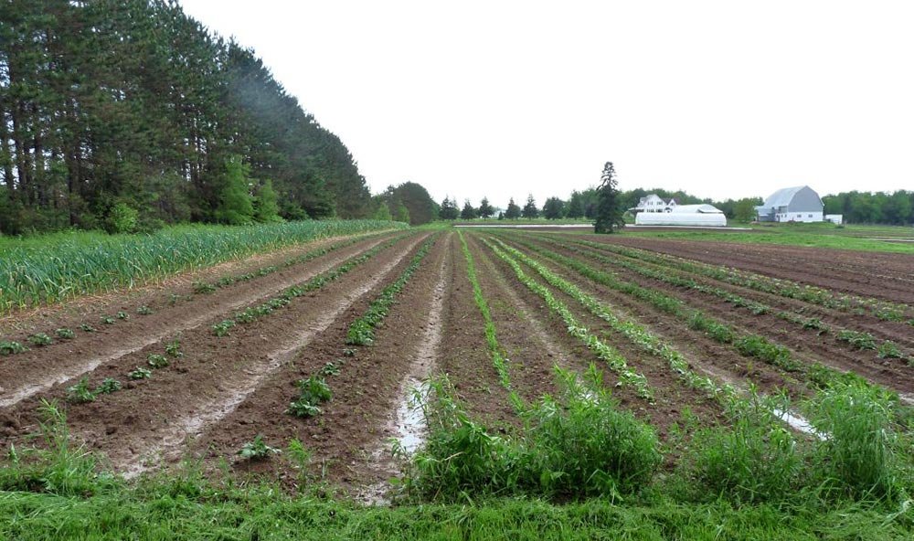 Plăţi către beneficiarii rentei viagere agricole 75846