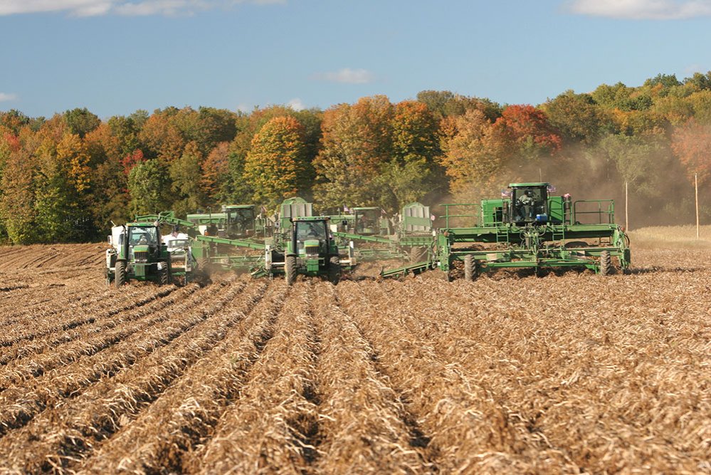 Avantajele asocierii fermierilor 75540