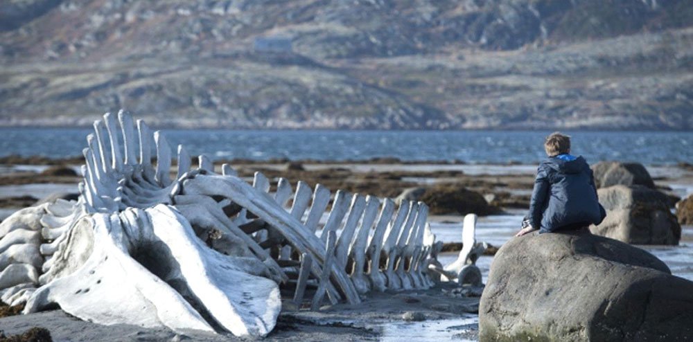 „Leviathan“ sau Iov-ul fără Dumnezeu al zilelor noastre 75249