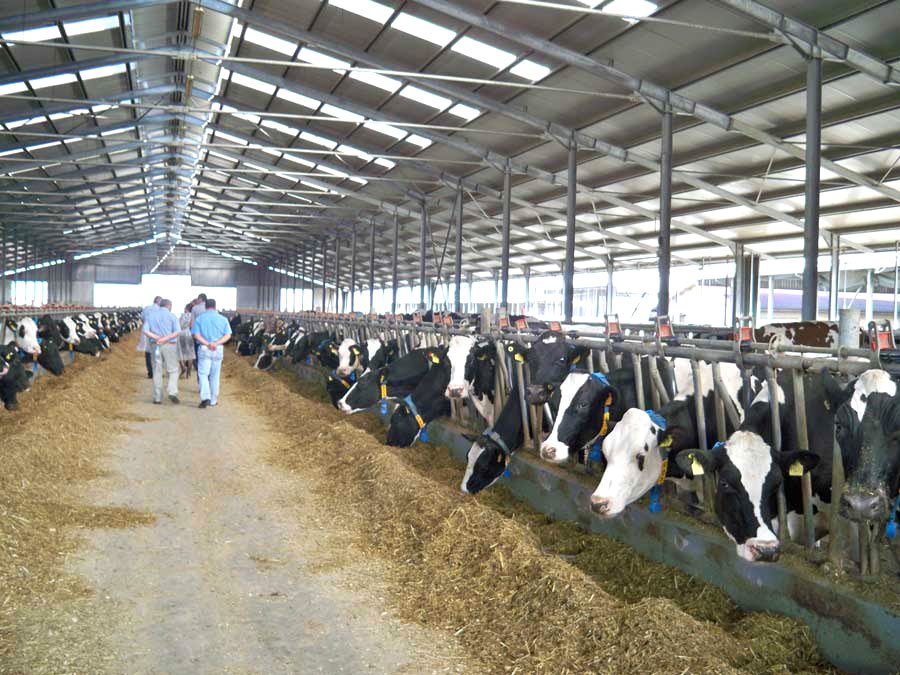 Noi fonduri europene pentru fermierii români 74966