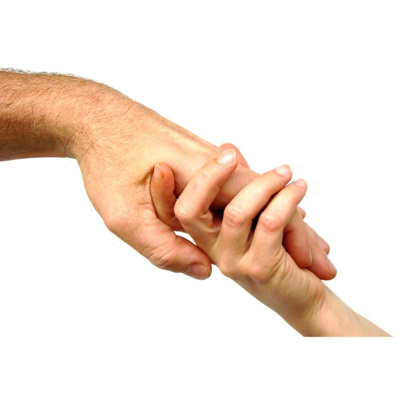 Firmele pot direcţiona 20% din impozitul pe profit 74914