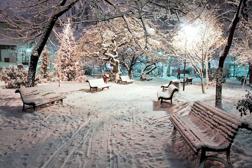 Aromele vechiului Bucureşti 74748