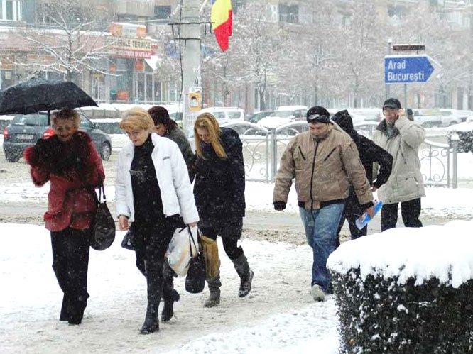 Tratamente naturiste recomandate în accidentele de iarnă 74660