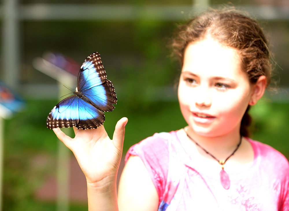 Premise pentru o psihanaliză creştină: patru complexe 74555