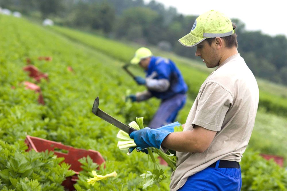 Proiecte europene pentru românii din diasporă 74321
