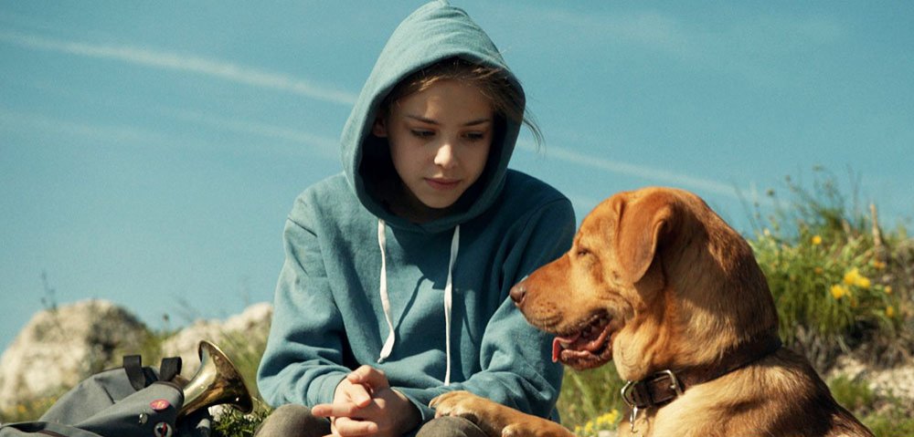 „Oraşul câinilor“: o intolerantă pledoarie pentru toleranţă 73764