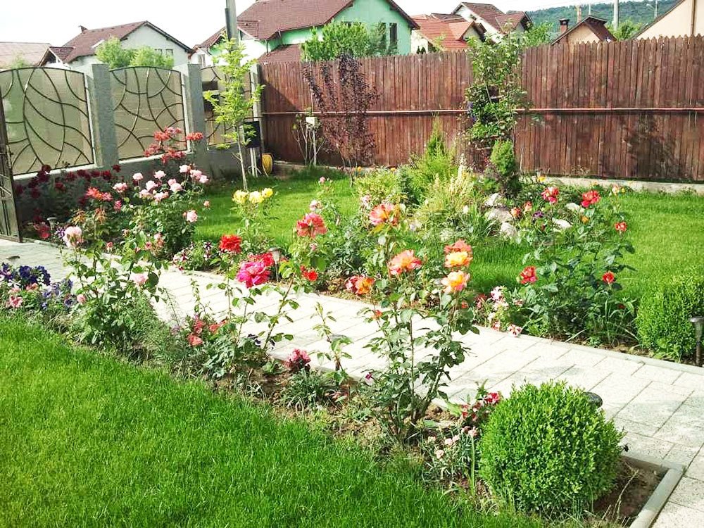 Îngrijirea grădinii în luna martie 73469