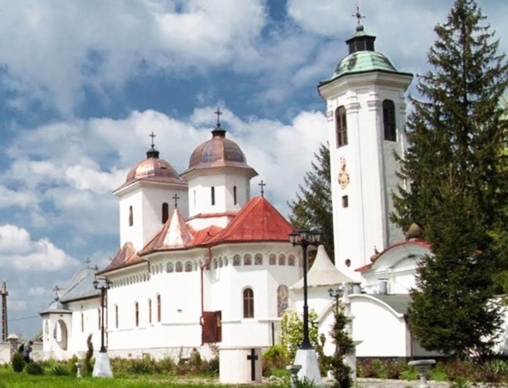 Anul pastoraţiei în mănăstiri la Arad 73244