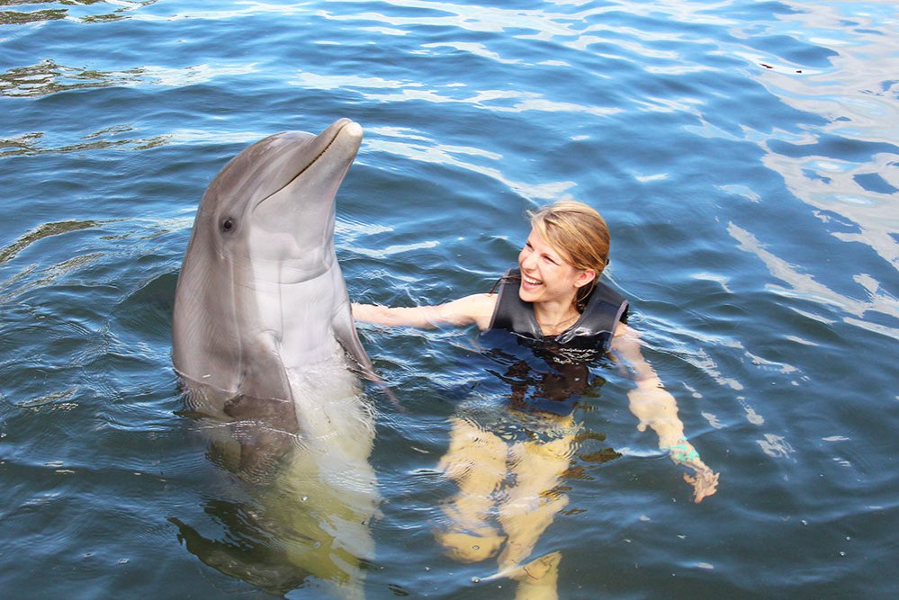 despre viziunea delfinilor sfera emoțională a copiilor cu miopie