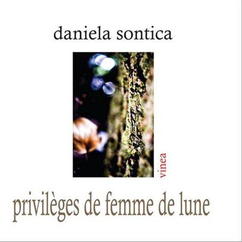 Peste 30 de scriitori români la „Salon du Livre“ 73120