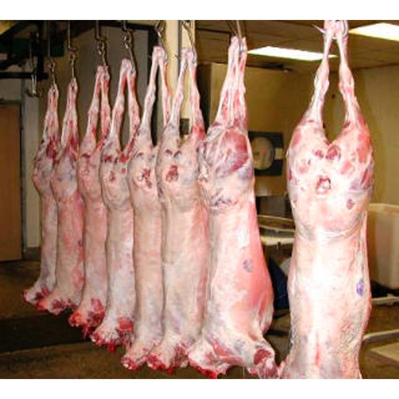 Autorităţile recomandă achiziţia mieilor din spaţiile autorizate 73075