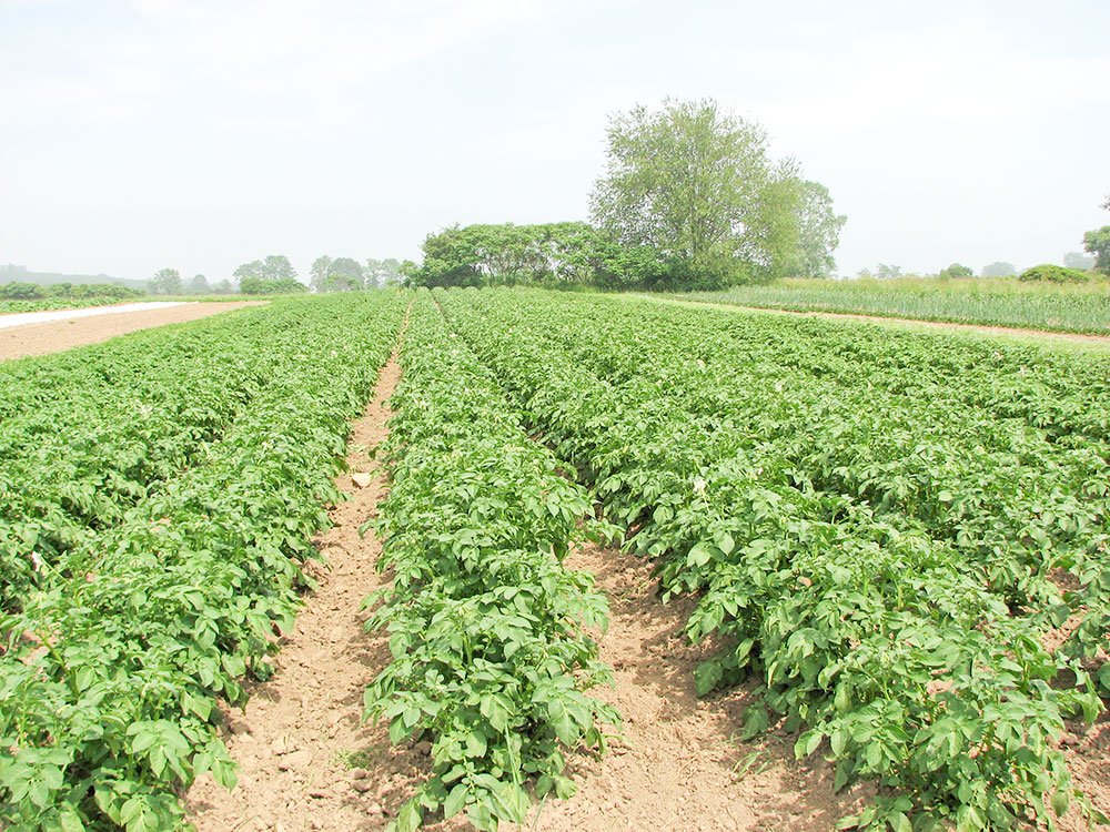 Au fost lansate primele măsuri de investiţii din noul PNDR 73028