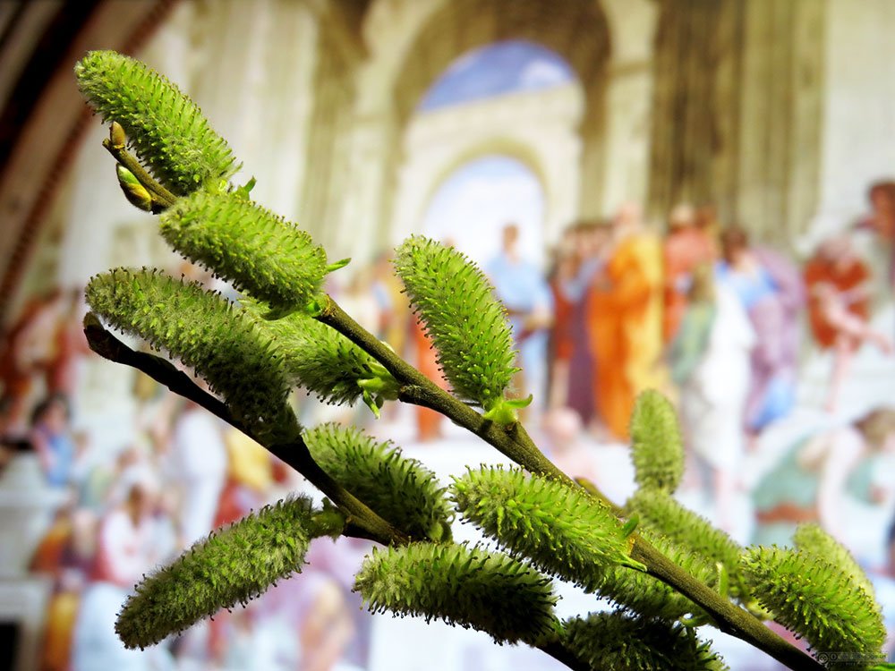 Pentru o sărbătoare pascală fără kitsch-uri 72975