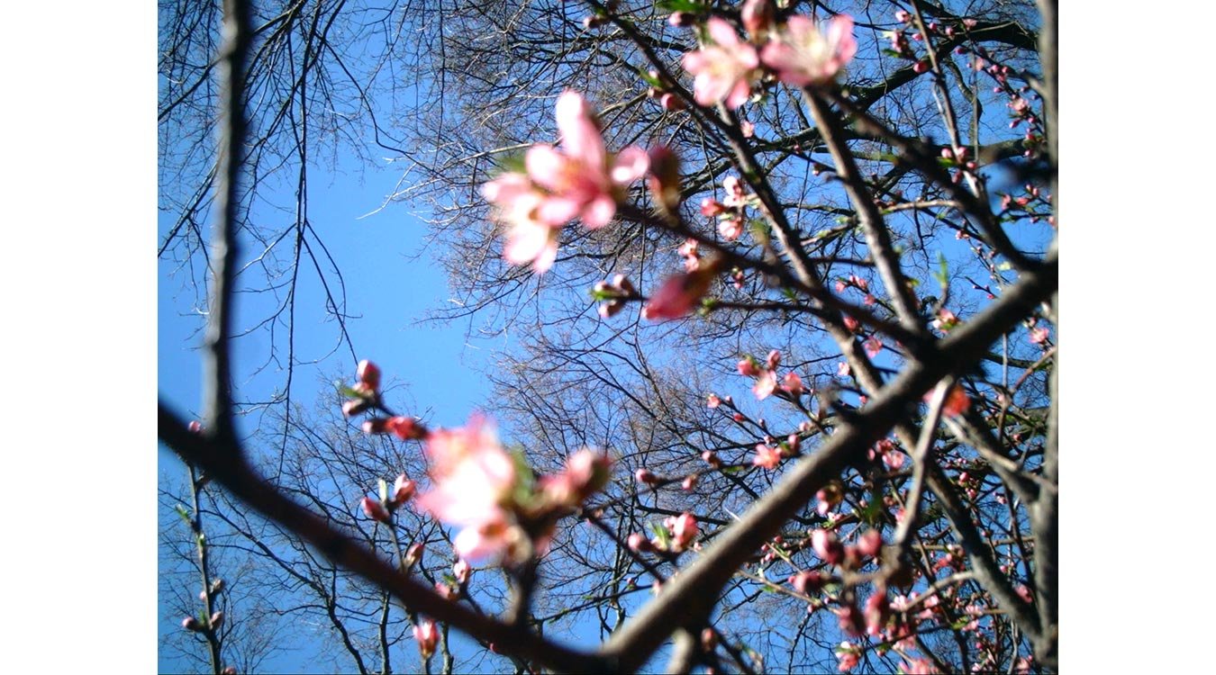 Vreme frumoasă de Paşti în toată ţara 72738