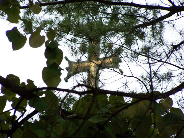 Pocăinţa şi smerenia 72422