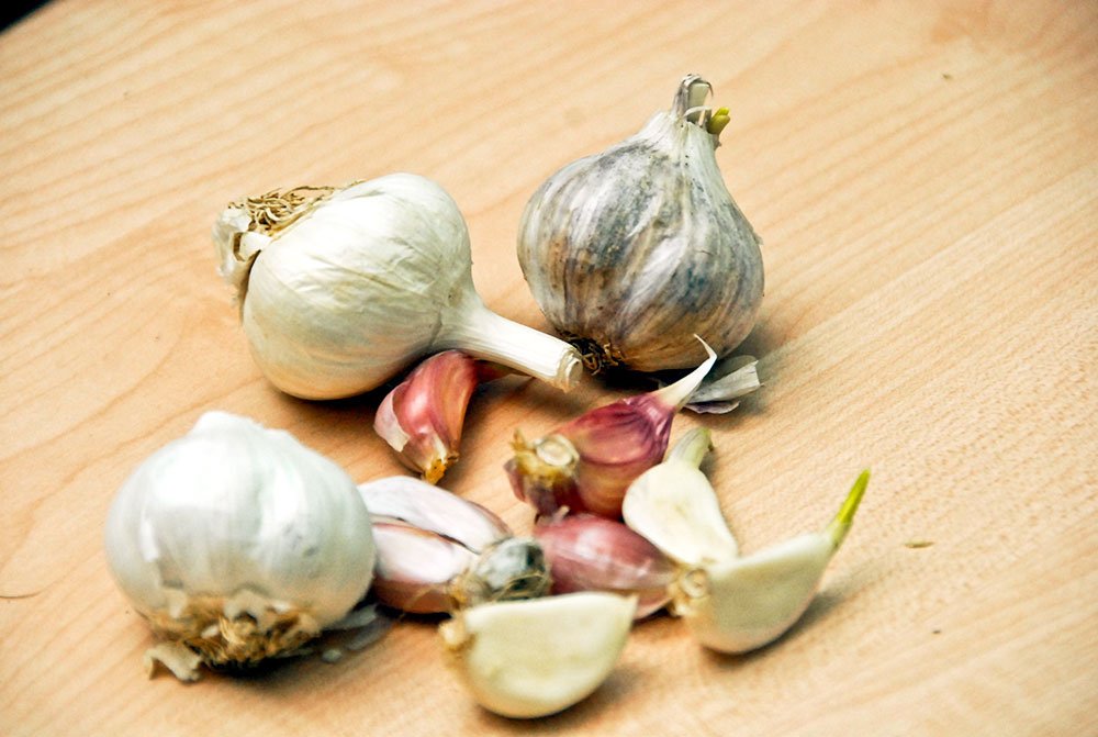 Prevenţia prin fitoterapie a cancerului de colon 72219