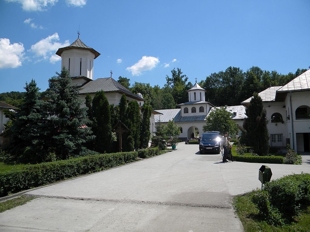 Praznicul Preasfintei Treimi în Arhiepiscopia Craiovei 71789