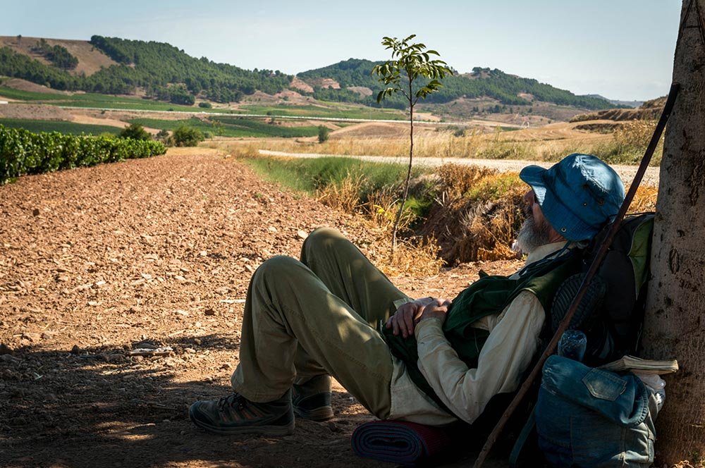 Lenea omenească 71768