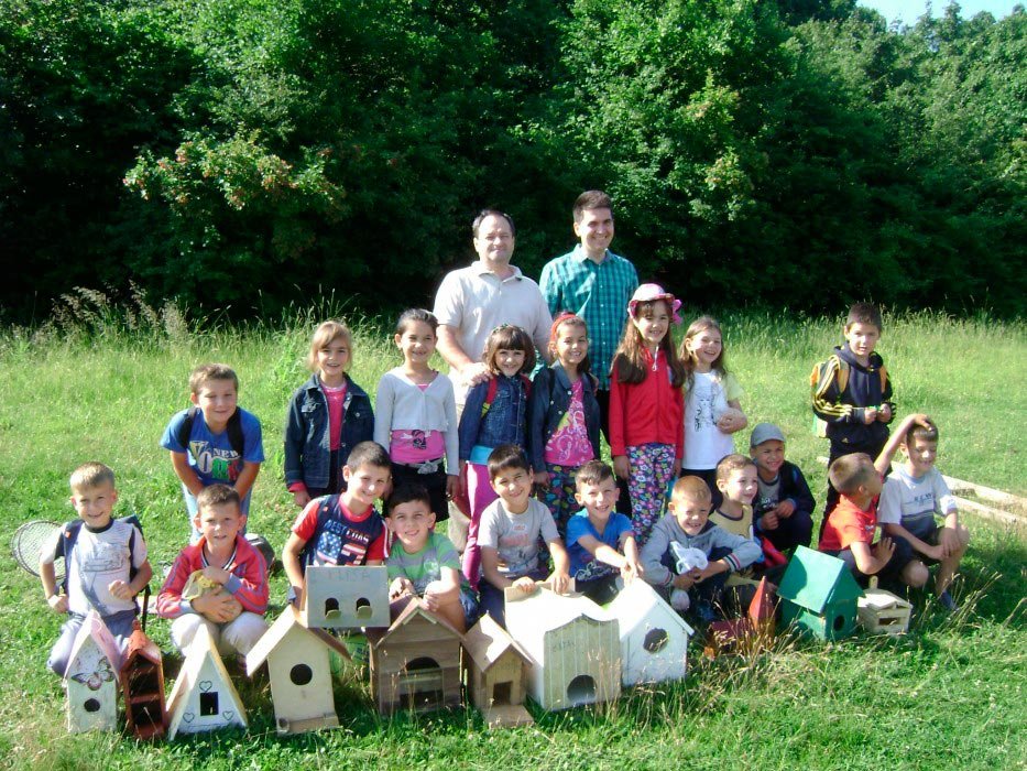 Activitate în poiană la Căianu, Cluj 71367