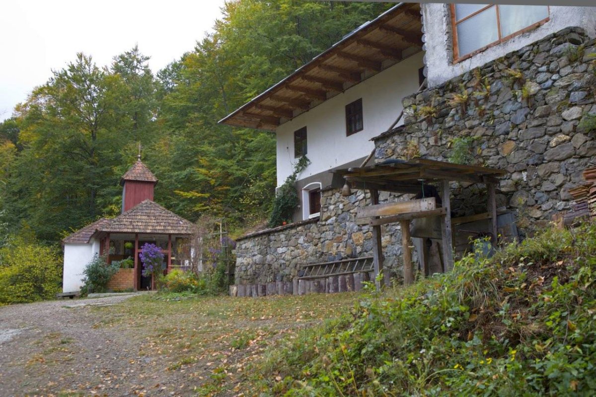 Hramul Schitului Bogâltin 71172