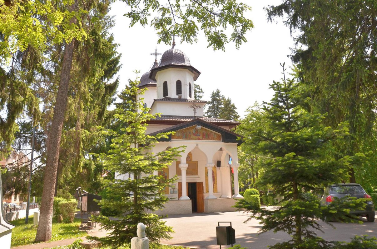 Dumnezeu vorbește și prin florile câmpului 71229