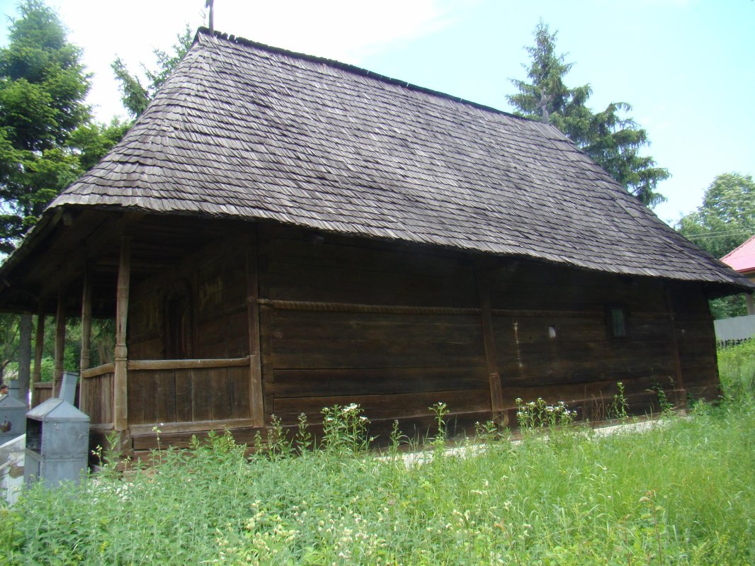 Rădăcini de legendă la Părăuşani 71124