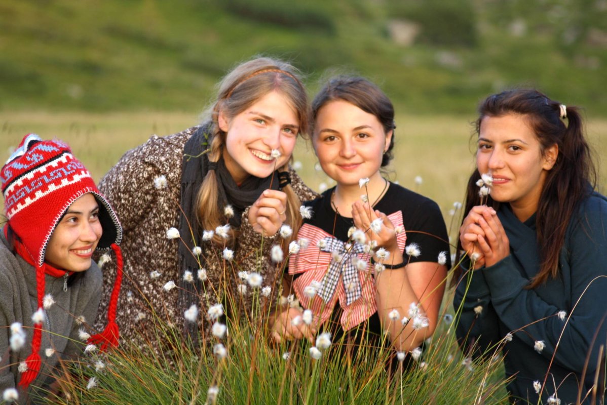 ATOR - Un popas al Frumosului într-o epocă a vitezei. Reflecţii 70858