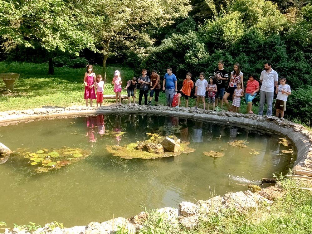 Tabără la Batiz, Hunedoara, pentru copii şi tineri în dificultate 70741