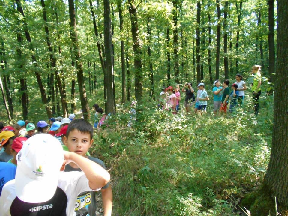 Şcoala de vară, la „Varlaam Mitropolitul“ 70707